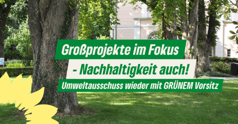 Großprojekte im Fokus – Umweltaspekte dürfen nicht unter die Räder geraten!