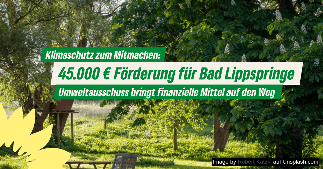 Umweltausschuss bringt Klimaförderung für 2026 auf den Weg
