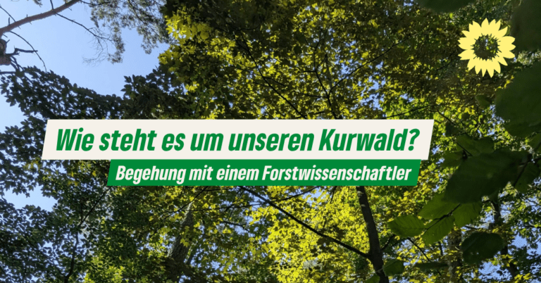 Vielfältig und zukunftsfähig?  Begehung des Kurwalds